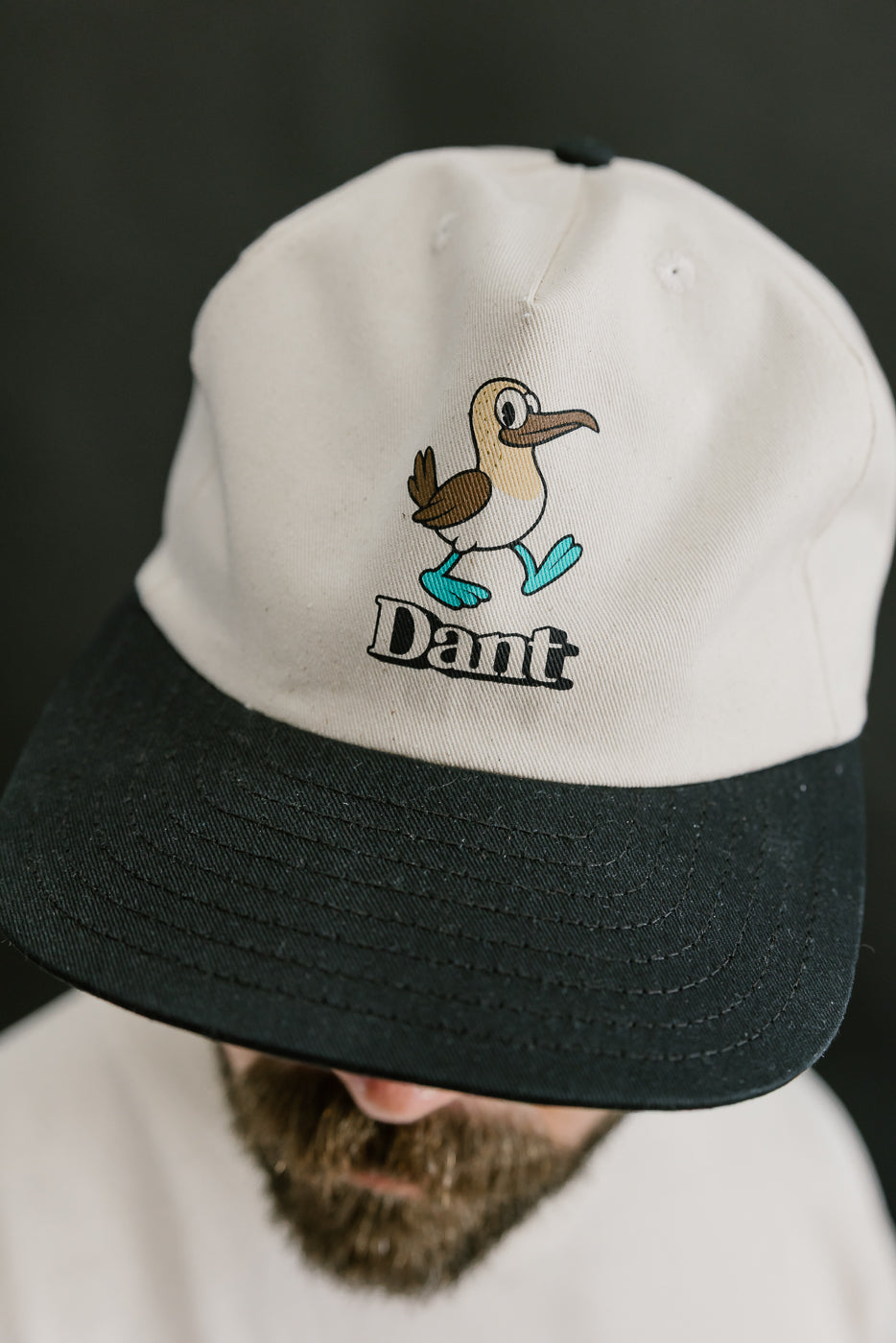 Dant