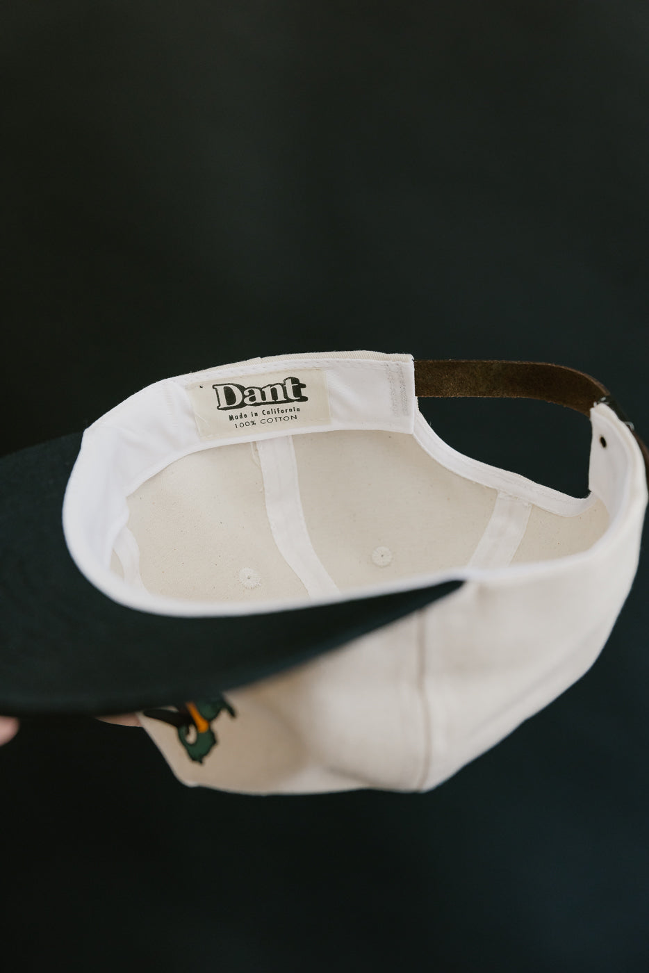 Dant