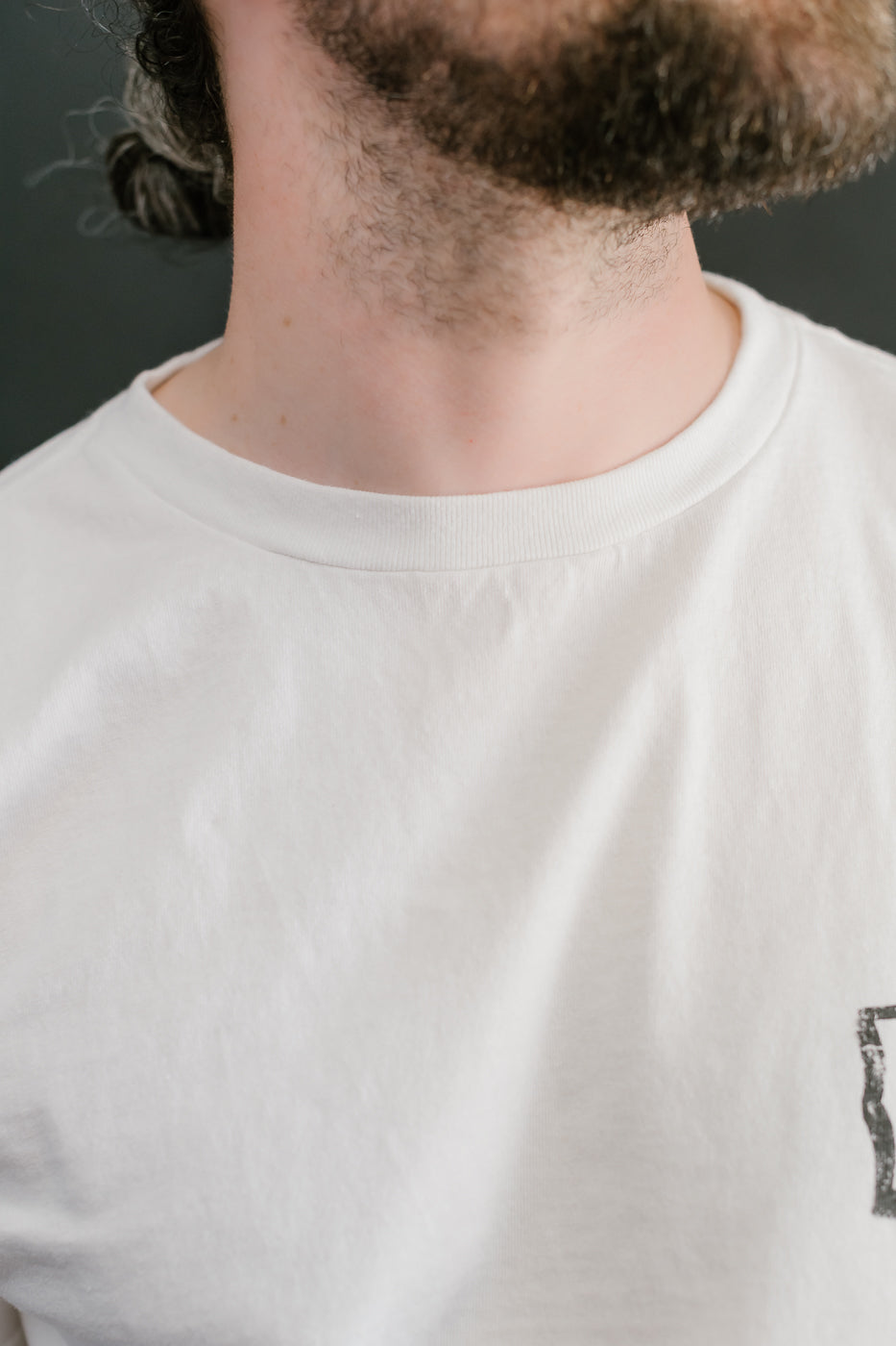 5500PT-15 - Tiger & Dragon T-Shirt - White