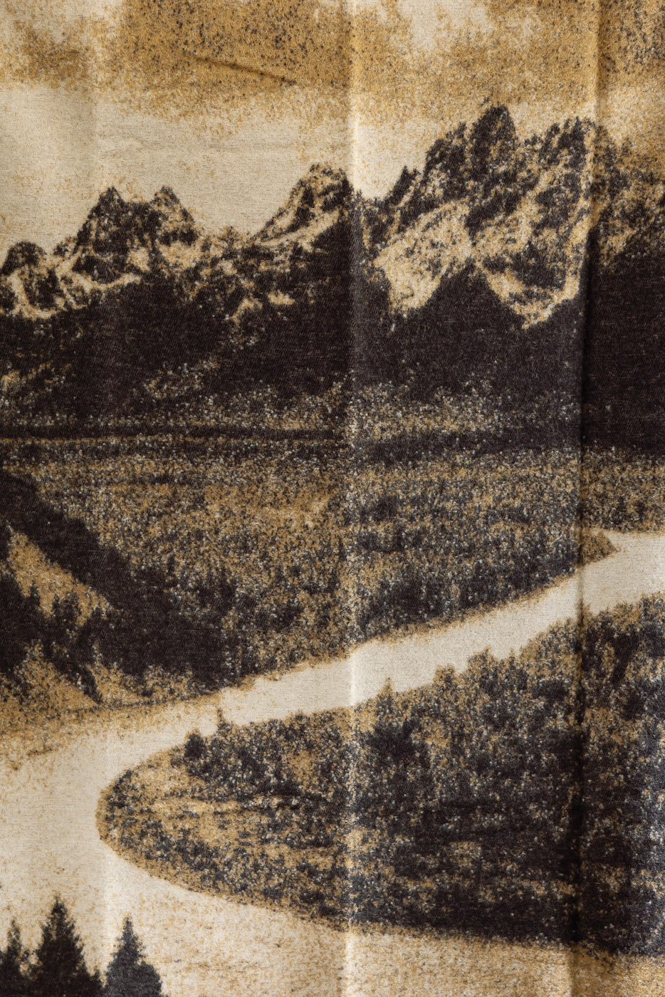 close up of the details of the mountains and trees surrounding snake river