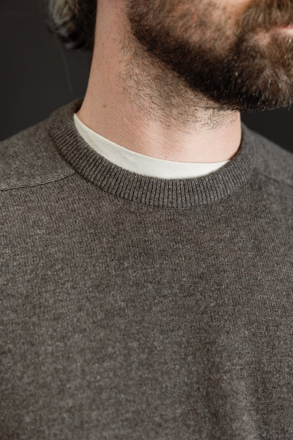 01-0050-53 - Simple Wool Crewneck Sweater - Brown