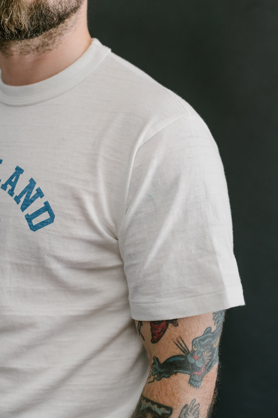 Lot 4601 - Highland Print T-Shirt - Off White, Blue