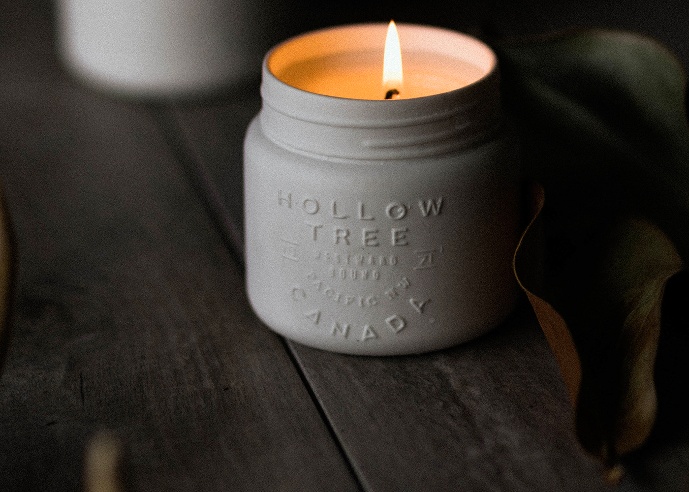 Lit Hollow Tree Canada candle in a white jar on rustic wood, cozy contemporary accessory