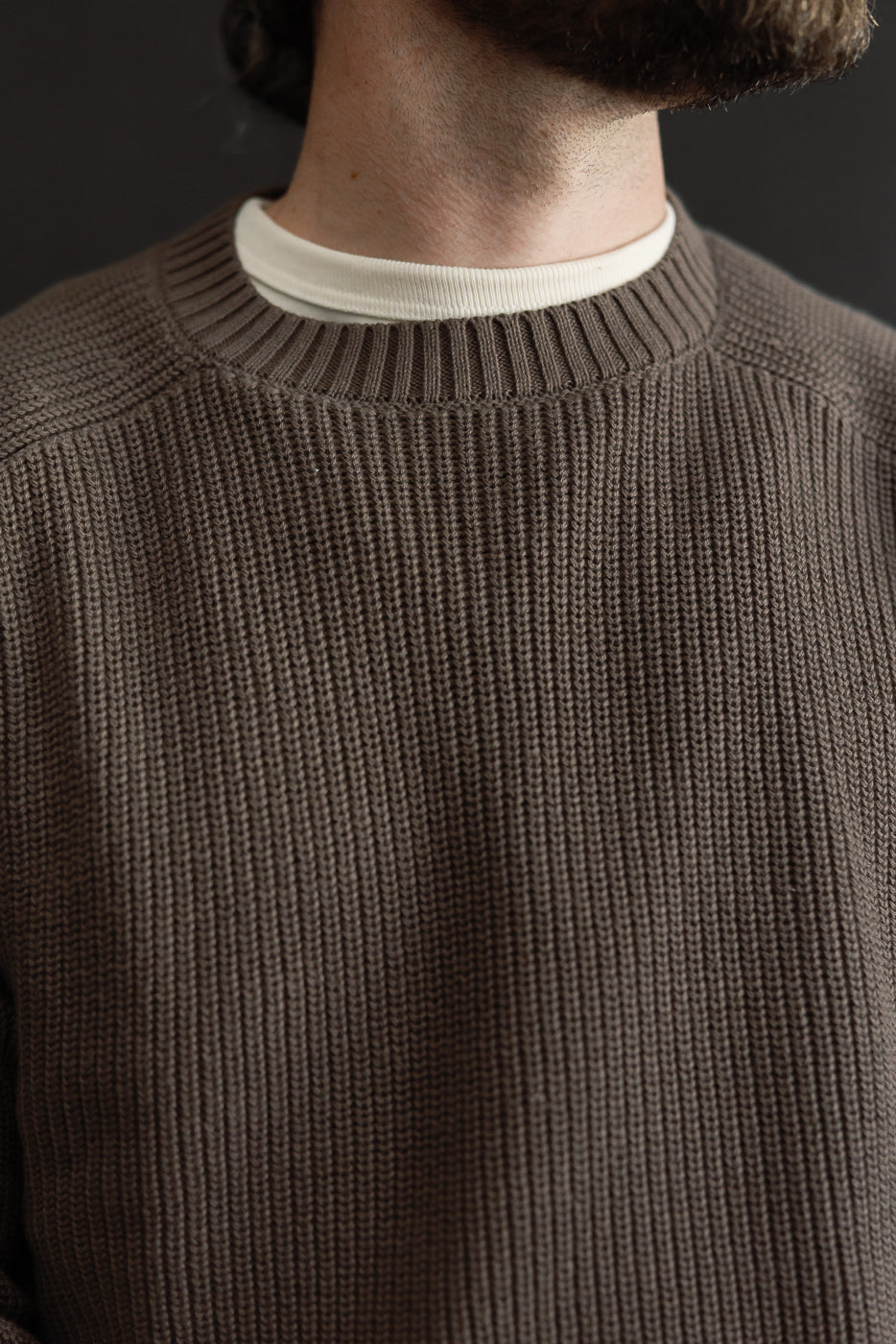 Close-up front view of a male model wearing a brown ribbed crewneck sweater over a white t-shirt.