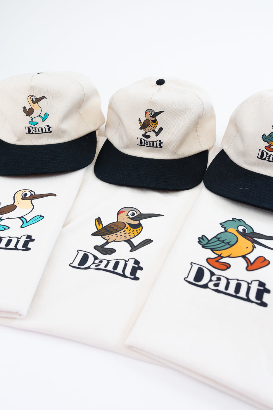 Dant 
