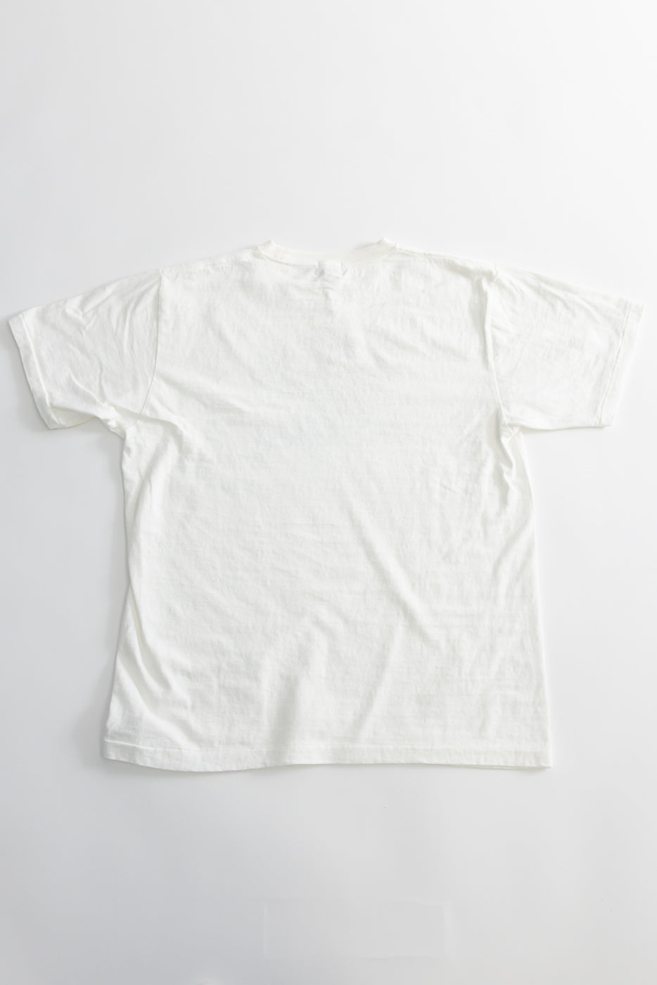 5.4oz Raffy Tenjiku Printed T-Shirt The Pet Rock - Off White, showcasing a seamless tubular knit design with a pull-over stitch hem and reinforced neck, highlighting its vintage-inspired craftsmanship and subtle texture.