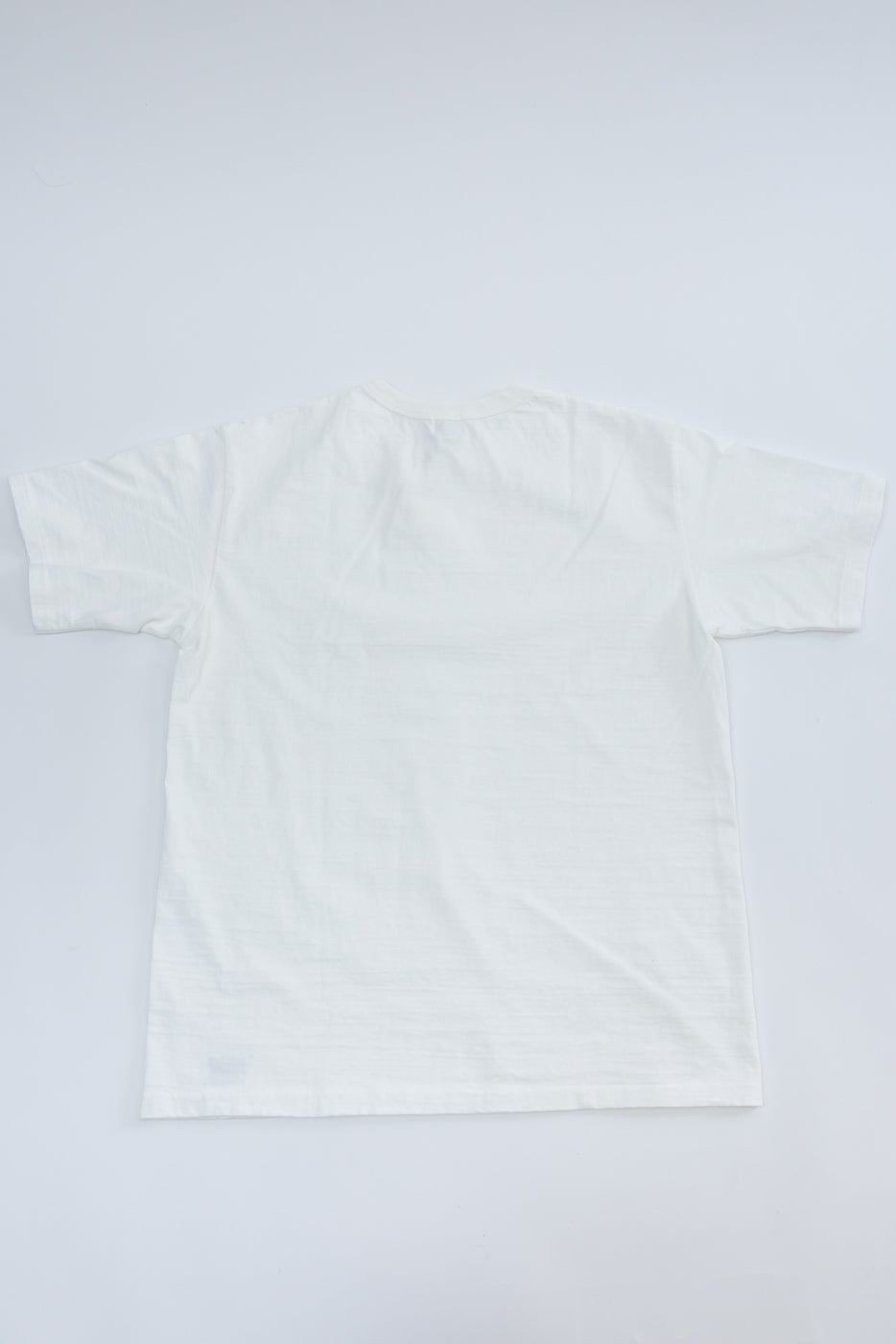 Flat lay of Dubble Works Fallen Cotton Midweight Tee in off-white, back side, short sleeves, crew neck.