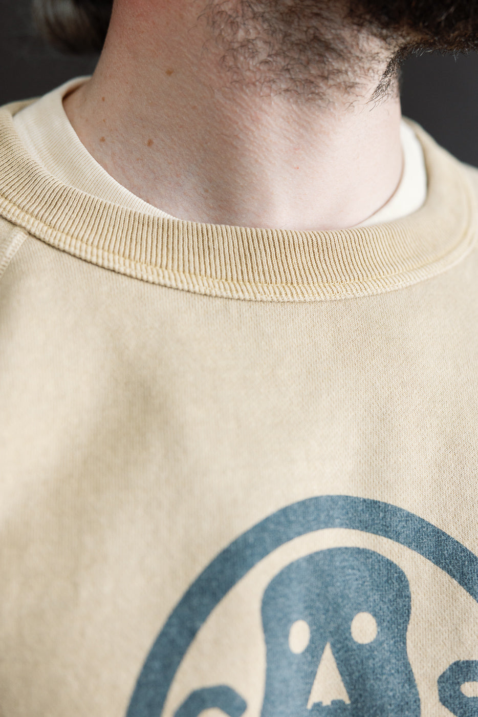Close-up of dark beige crewneck sweatshirt front on male model, showing ribbed collar and ghost print. Model is 5'9