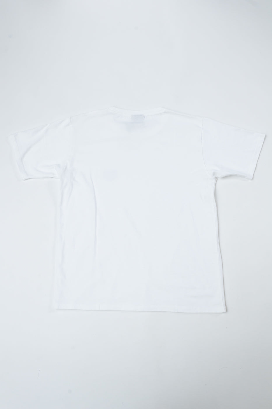 HOWLIN'｜ (SHAGGY BEAR T-SHIRT WHITE) Shaggy Bear T-Shirt - White | Dant