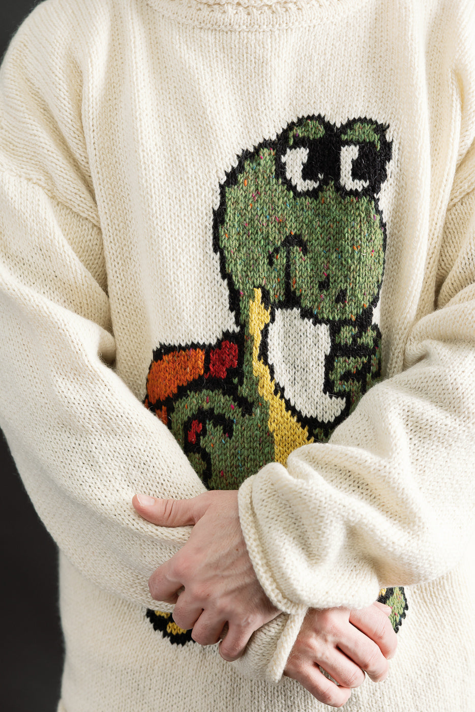 Close-up of front of cream knit sweater featuring colorful turtle graphic, modeled by male, 5'9