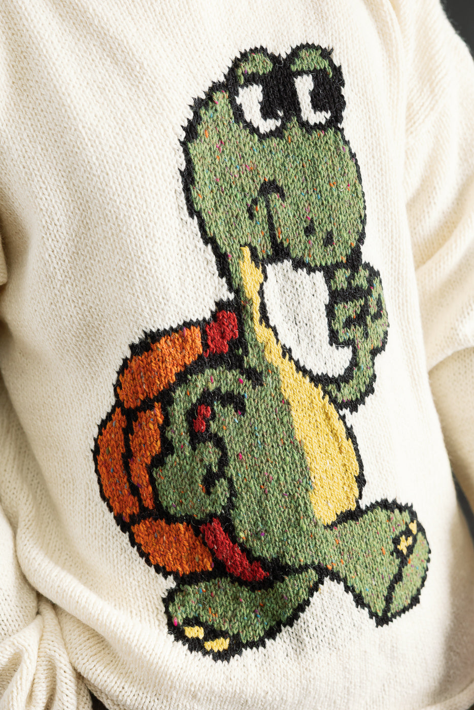 Turtles Have Short Legs Popover - Ecru | Dant