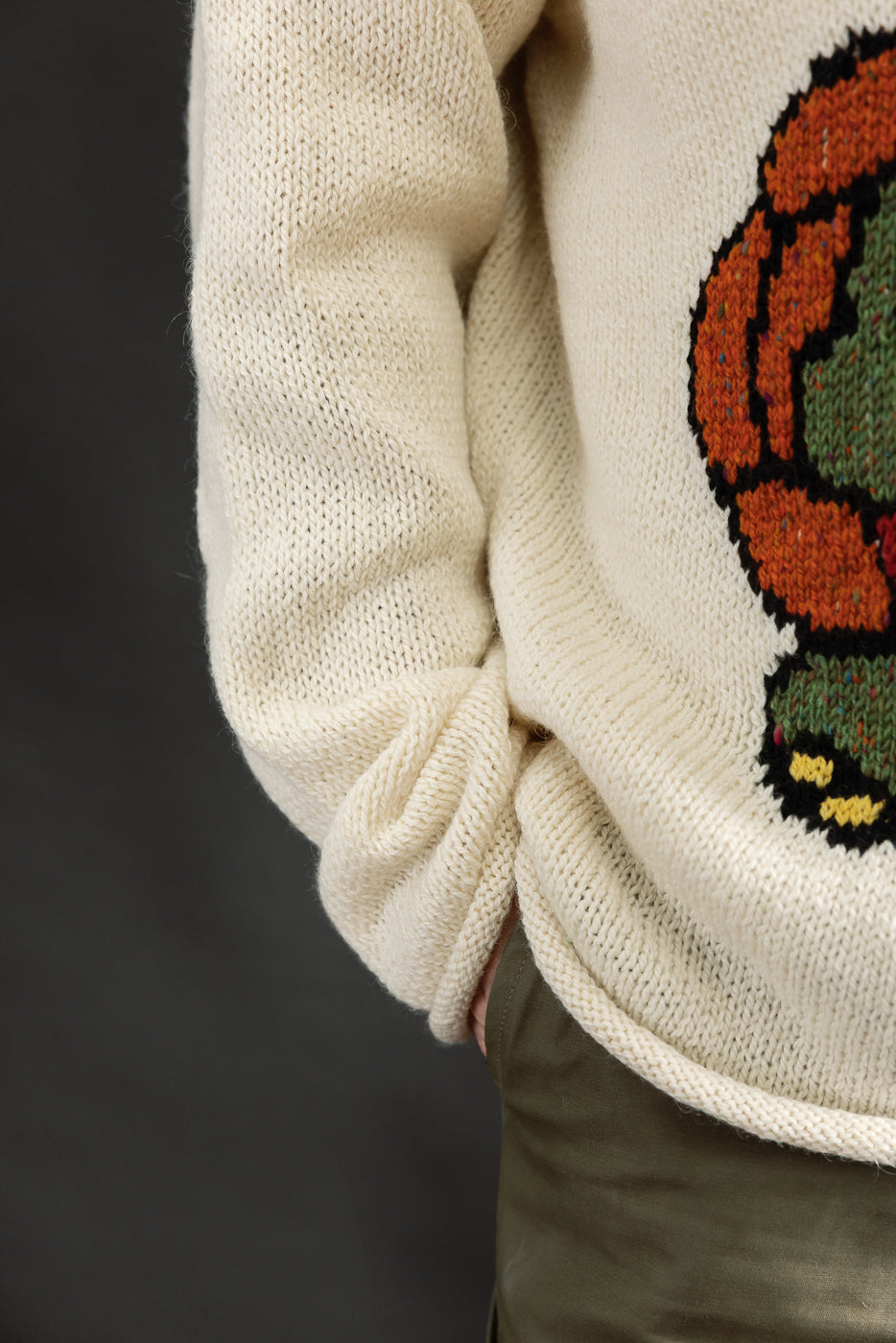 Close-up of male model wearing ecru knit sweater, popover front, visible turtle graphic, textured fabric