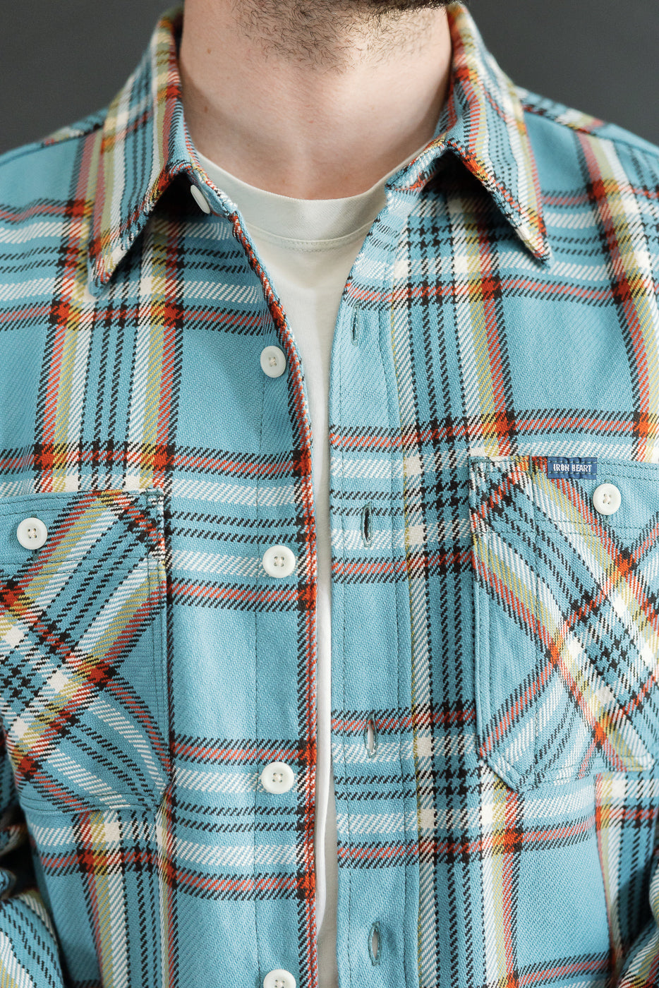 Close-up front view of male model wearing blue plaid shirt with white buttons and chest pocket tag
