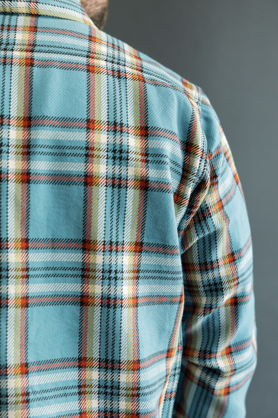 Close-up back view of male model in blue plaid shirt, showcasing fabric texture and pattern details.