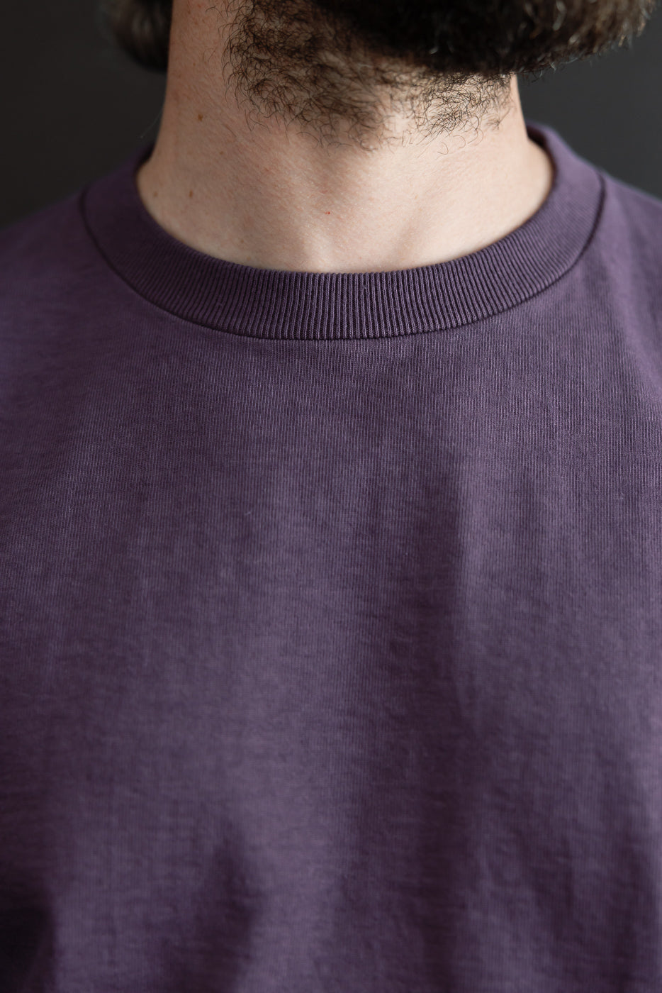 Close-up front view of purple crewneck tee, ribbed collar, worn by male model