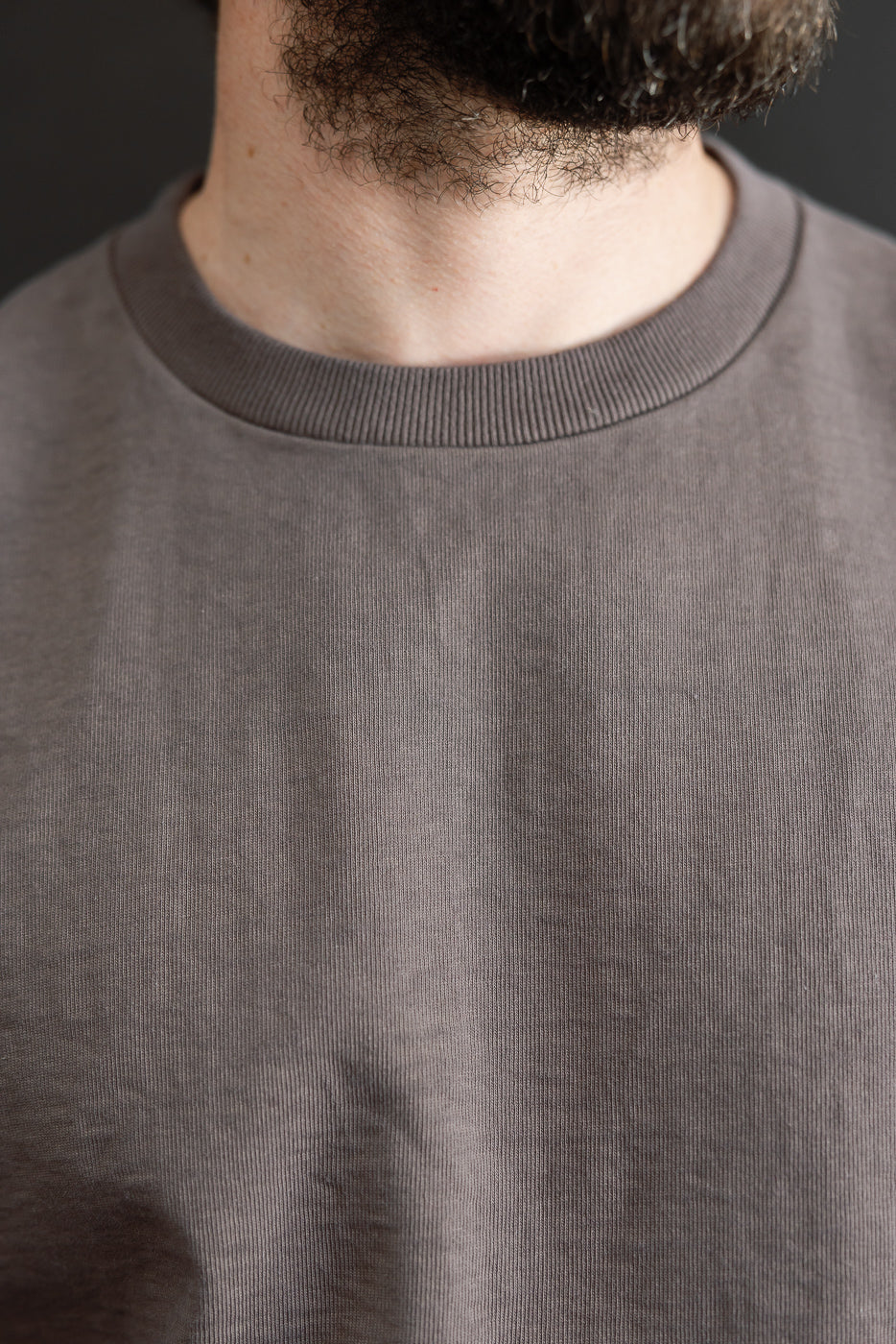 Close-up front view of gray crewneck sweater on male model, showcasing ribbed collar and fabric texture.