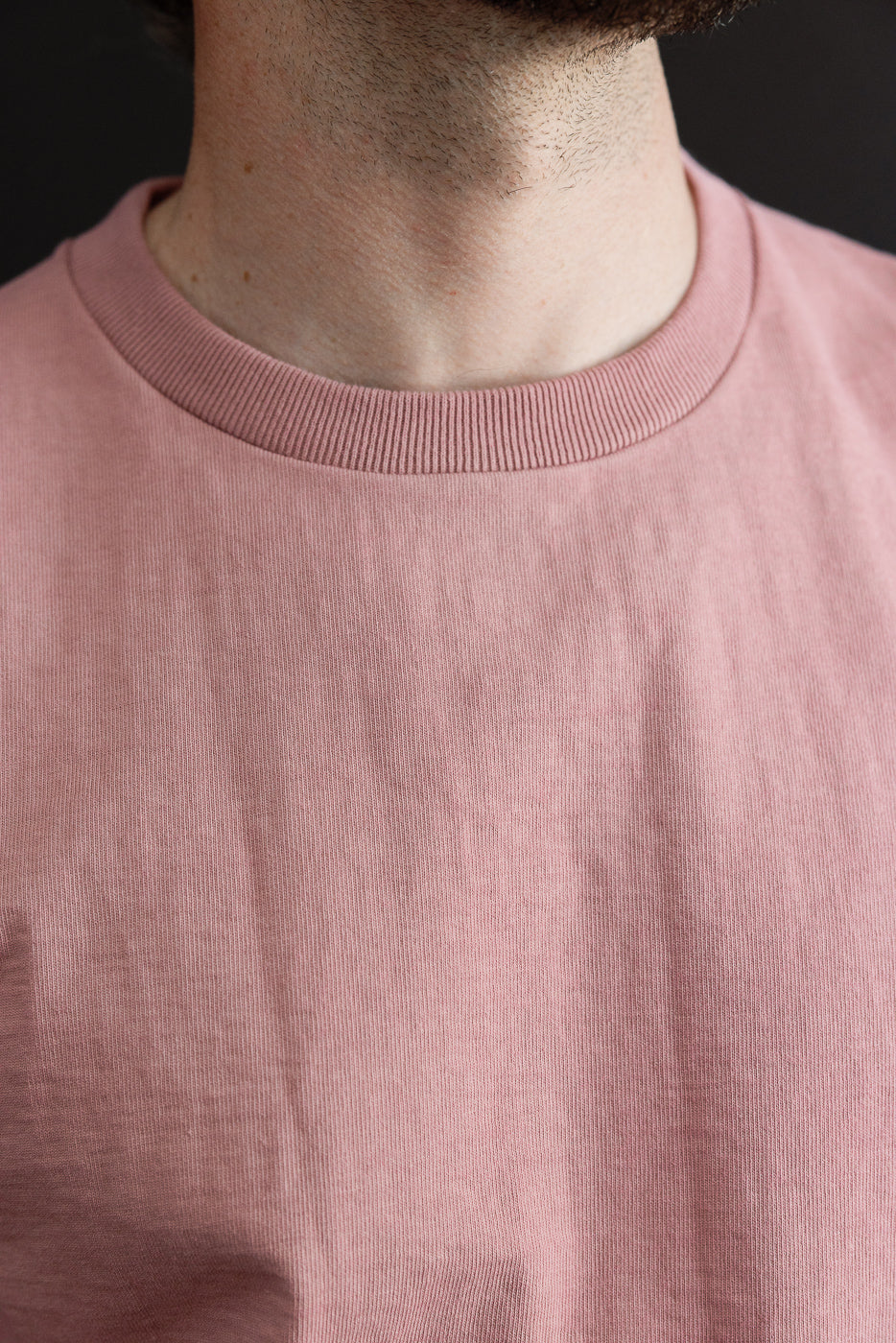 Close-up front view of male model wearing dusty rose crewneck tee, showcasing ribbed collar and soft cotton texture