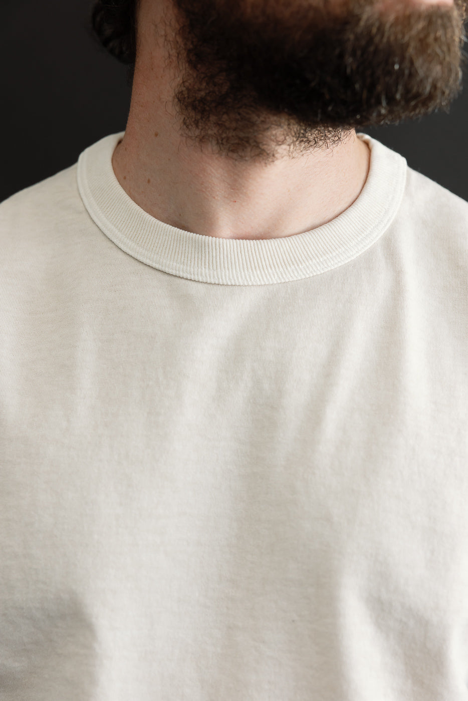 Close-up front view of male model's crew neck tee, showcasing ribbed collar and soft fabric texture.