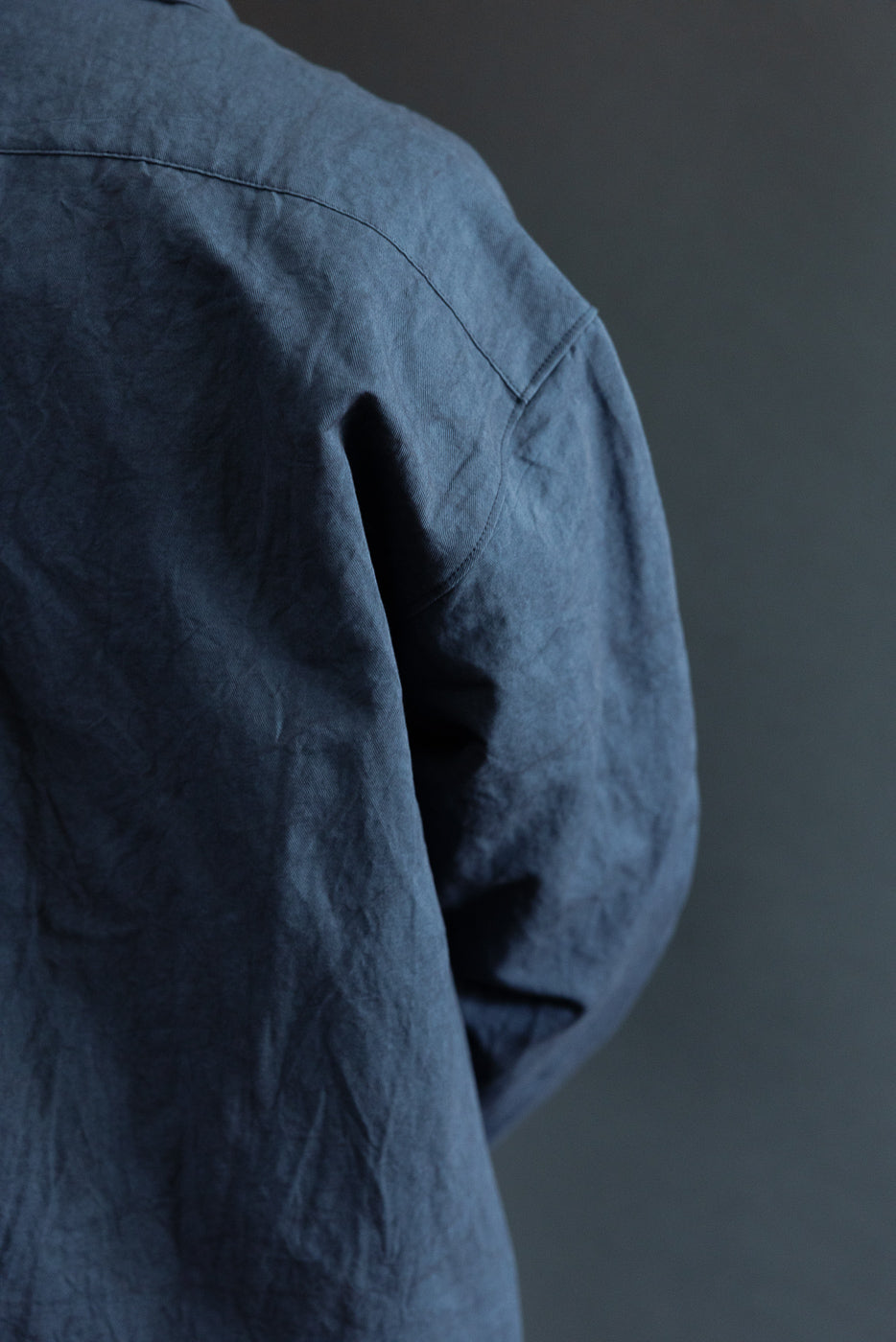 Close-up of male model's back shoulder, showcasing textured blue shirt fabric and sleeve detail.