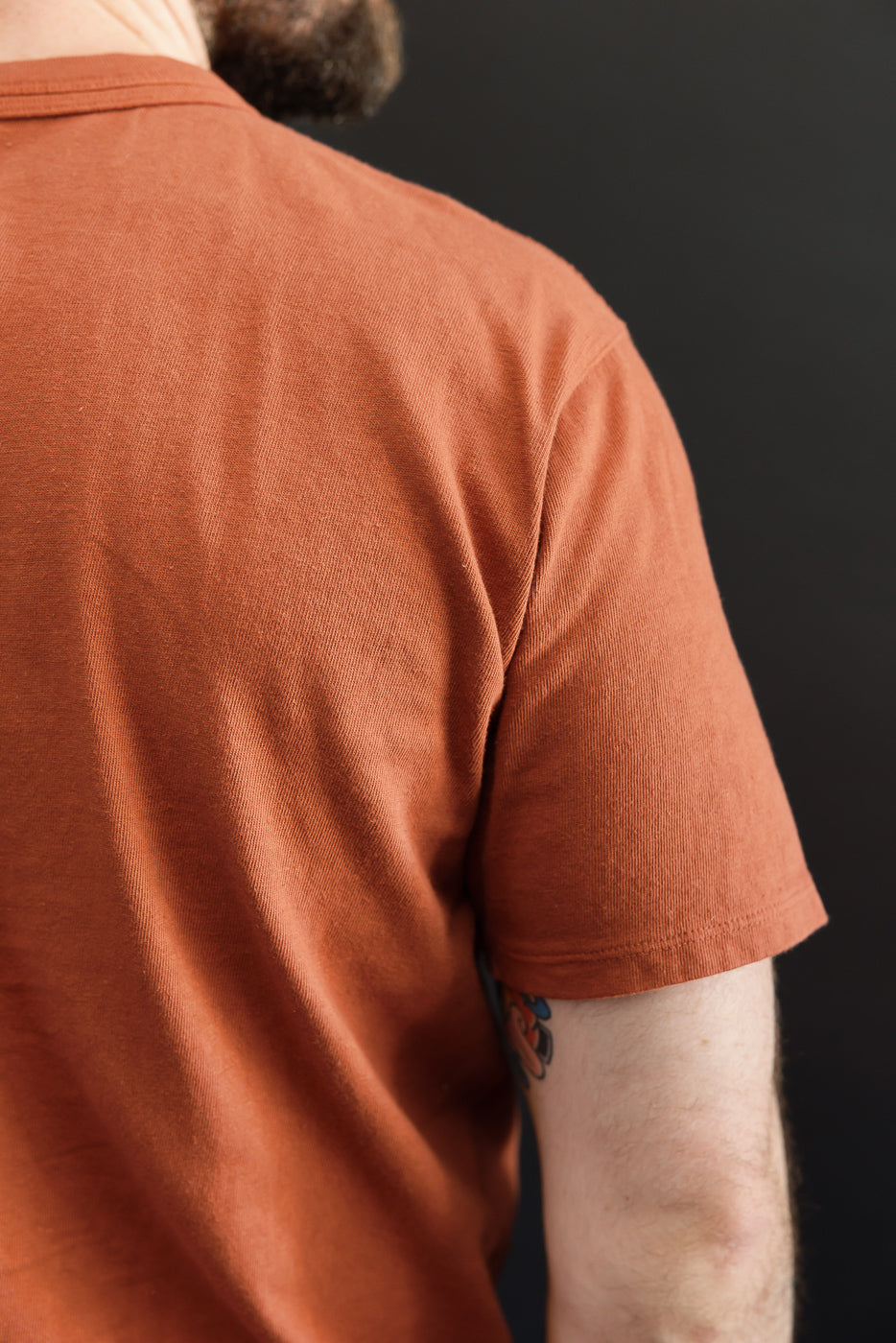 Back view of male model in rust-colored t-shirt, showcasing fabric texture and sleeve hem