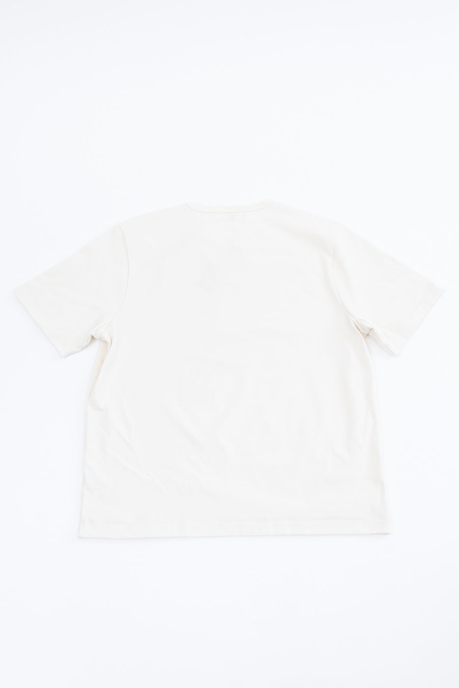 Back view flat lay of a plain white short-sleeve t-shirt.