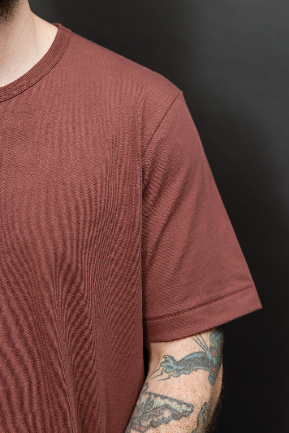 Close-up of the front and left sleeve of a male model's brown crewneck t-shirt.
