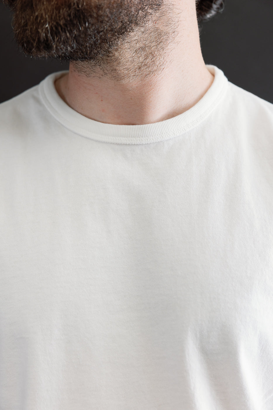 TEE02.01 - 16oz Classic Cotton Jersey T-Shirt Classic Fit - White