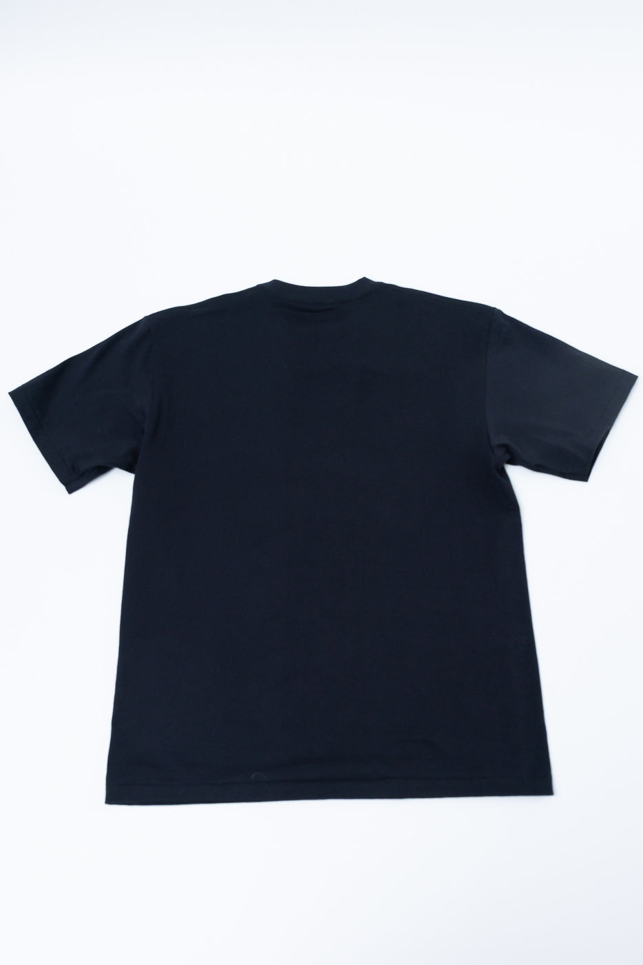 Flat lay of black short sleeve t-shirt, back view, showing full garment and hem detail.