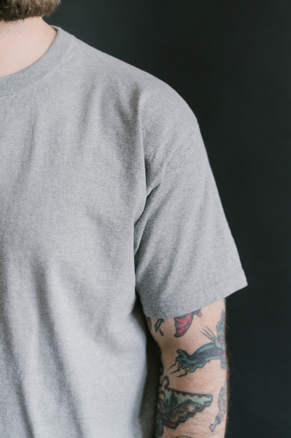 SJST-M - Heavyweight Plain T-Shirt  - Gray