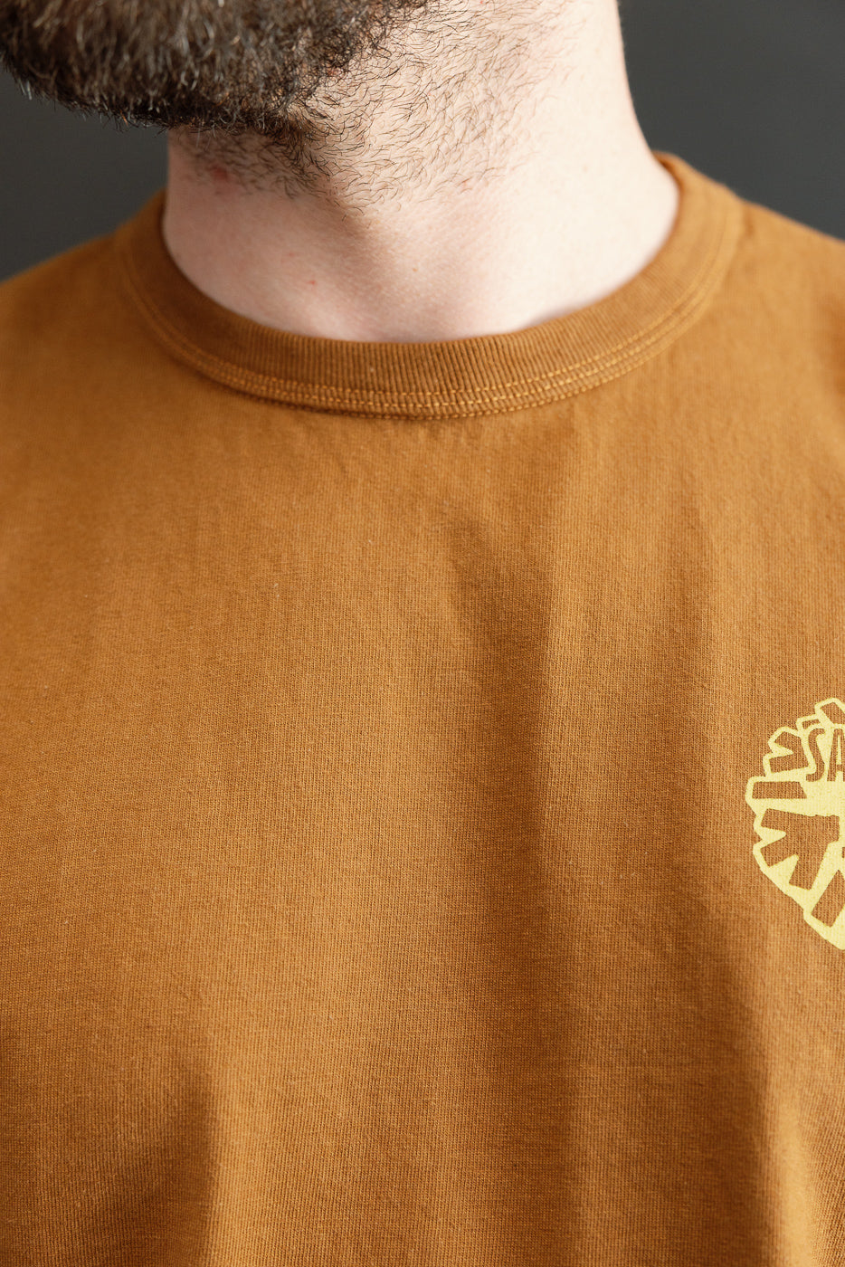 Close-up front view of male model wearing mustard tee with ribbed collar and graphic detail