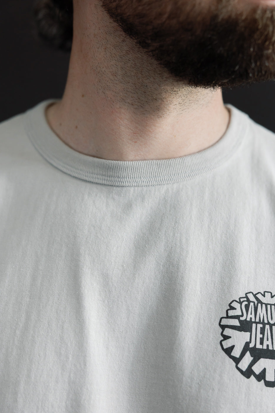 Close-up front view of male model wearing light gray crewneck tee with graphic logo on chest