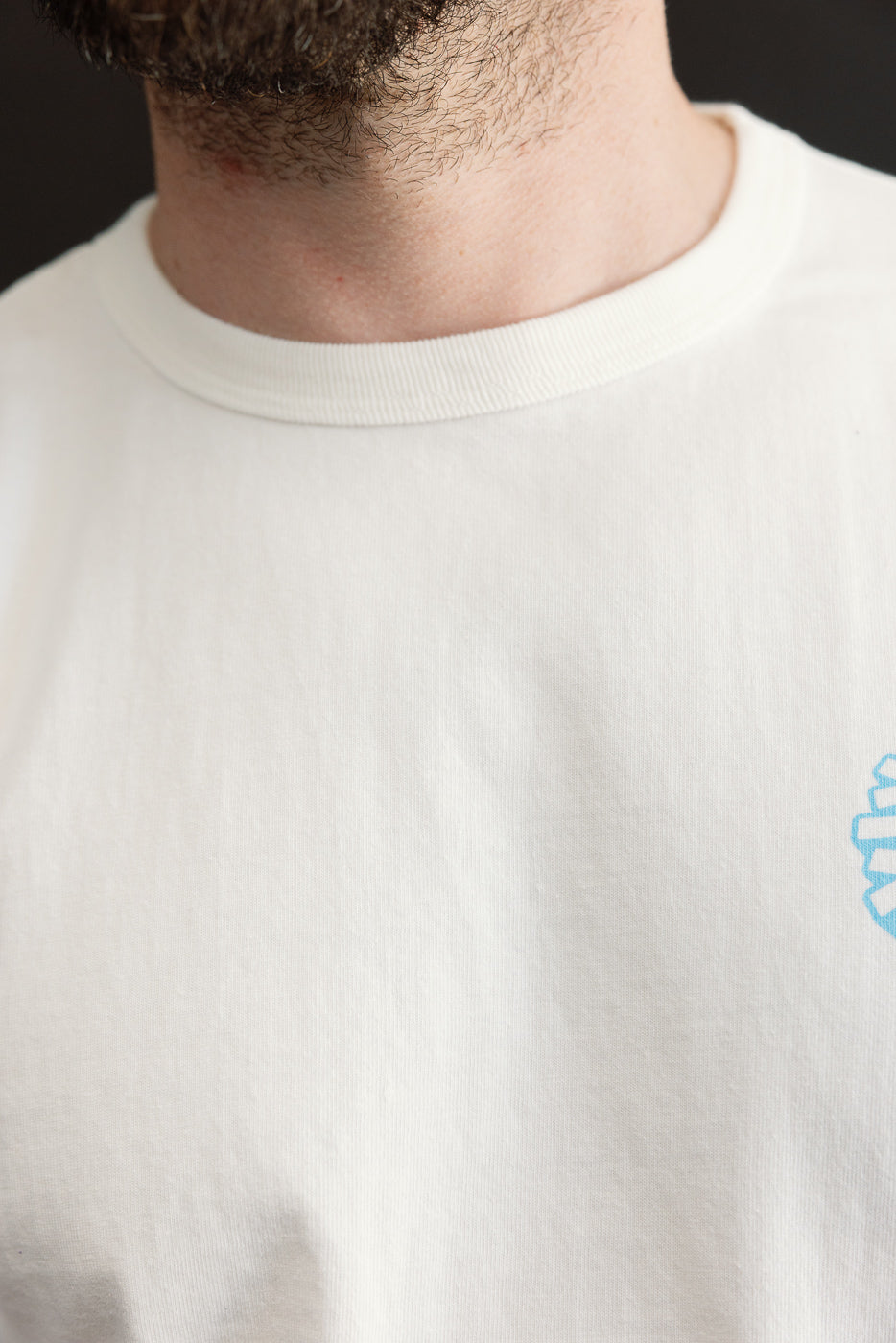 Close-up front view of white tee with ribbed collar, worn by male model, showing blue graphic detail.