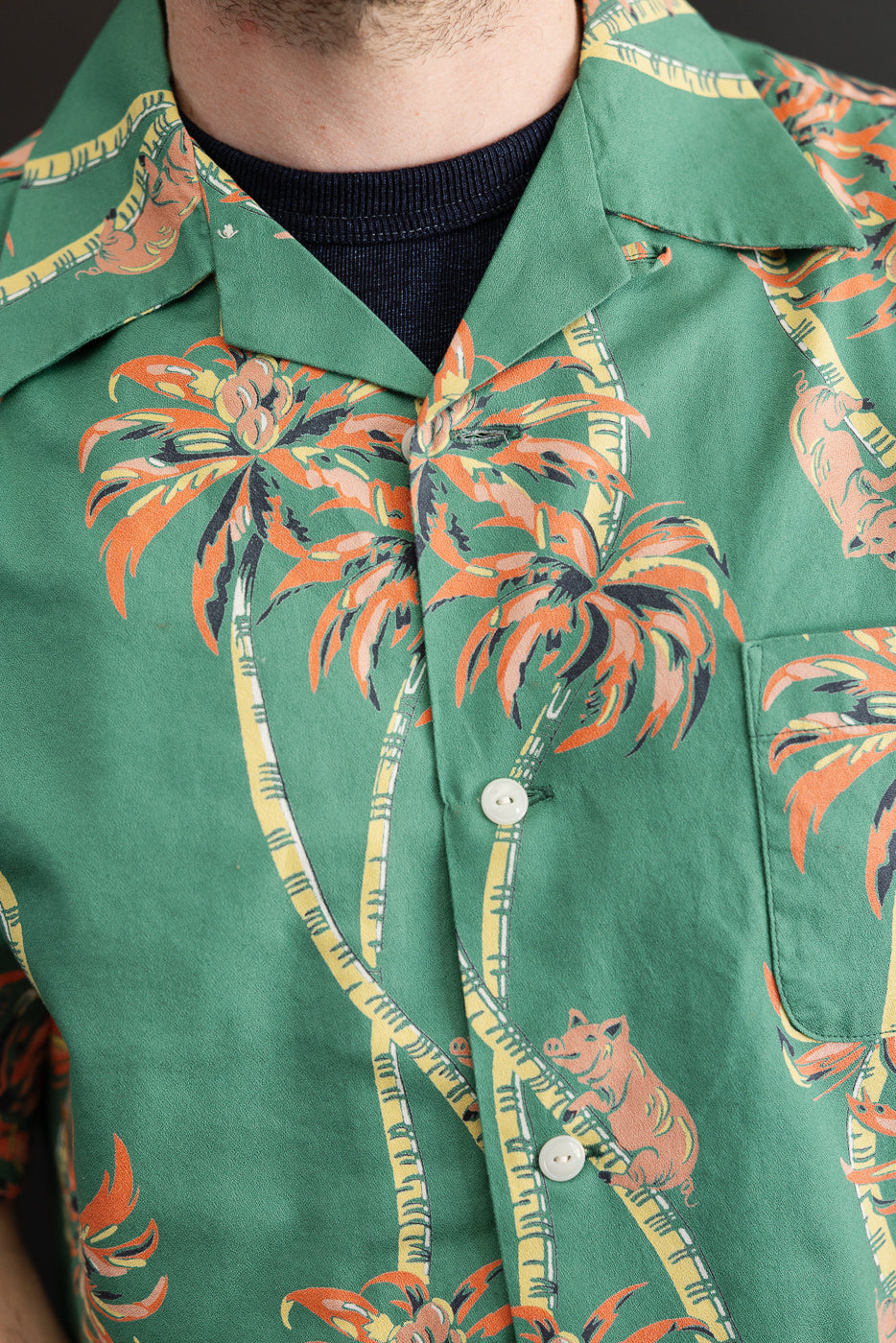 Close-up front view of male model wearing green tropical print shirt with palm trees and buttons.
