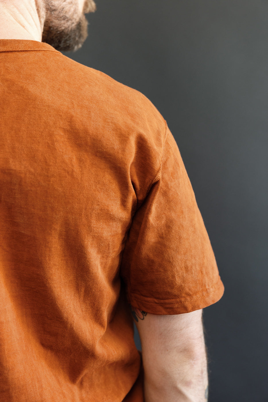 Back view of male model in rust-colored tee, showing shoulder and sleeve detail