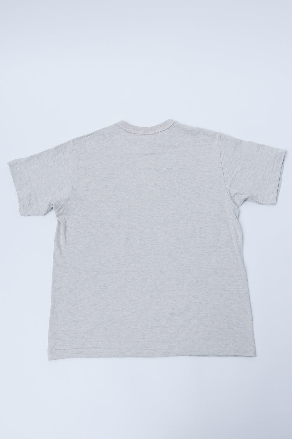 Warehouse & Co. Lot 4601 slubby oatmeal cotton t-shirt, flat lay, back view, short sleeves