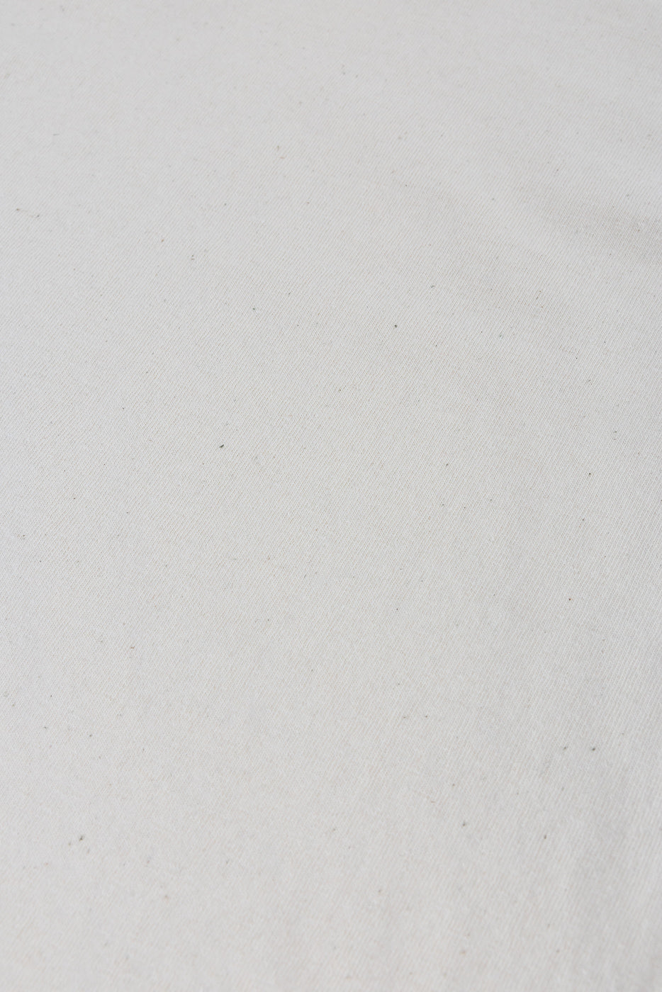 ELS Recycled Cotton Slub Crewneck T-Shirt - Ecru close-up, showcasing the finely woven, textured off-white fabric, highlighting its unique blend of recycled and organic cotton materials and intricate craftsmanship.