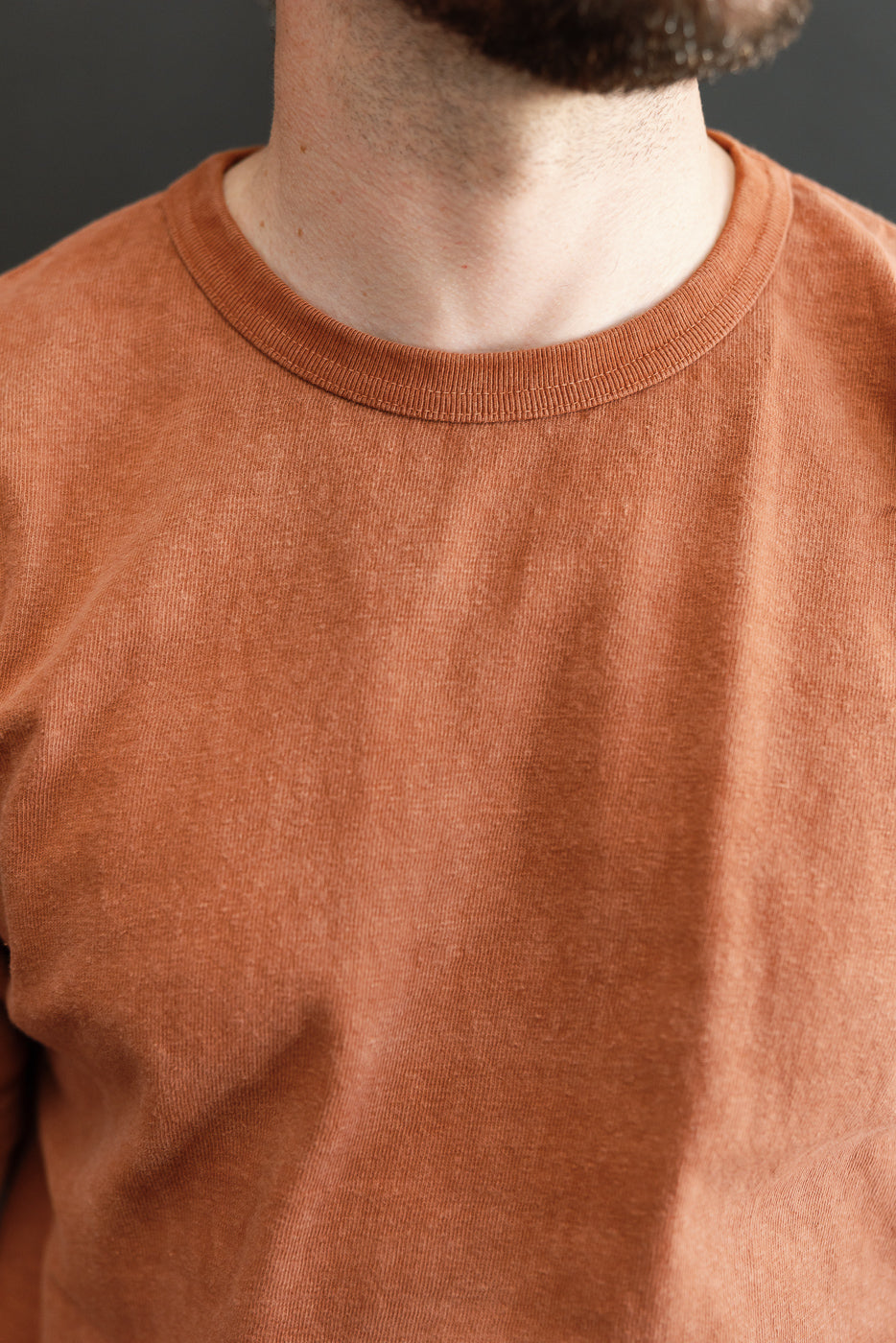 Close-up front view of male model wearing rust-colored crewneck tee, showcasing ribbed collar and fabric texture