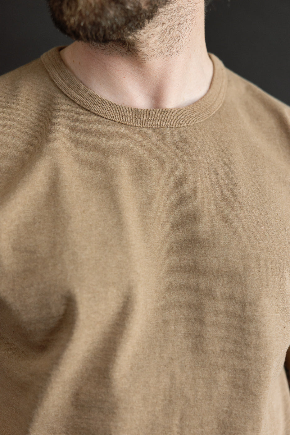 Close-up front view of male model wearing tan crew neck tee, showcasing ribbed collar and soft fabric texture