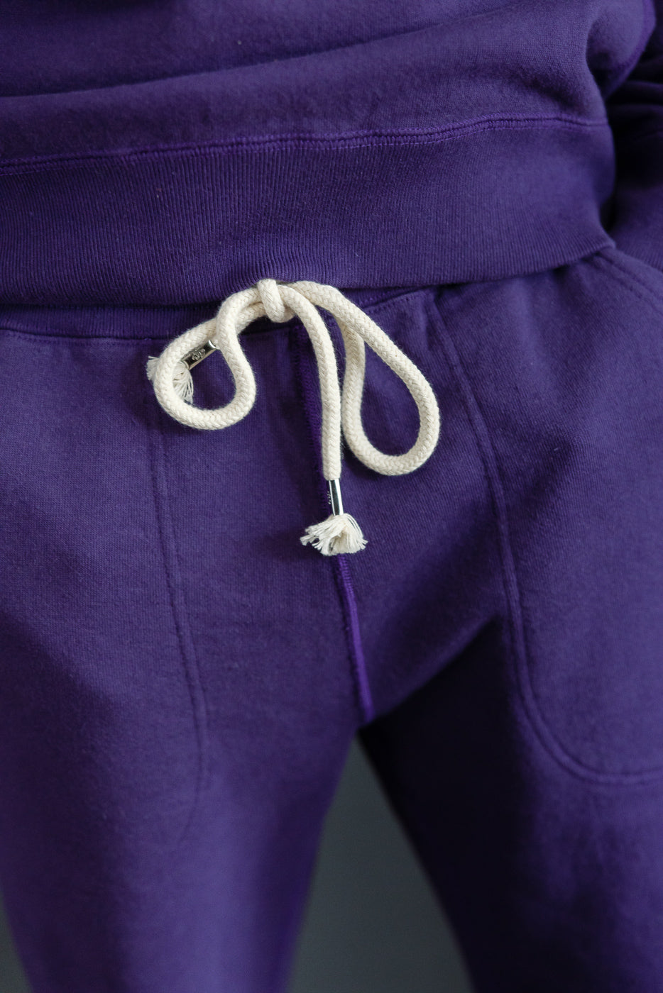 Close-up of purple joggers' front waistband with white drawstring, showing texture and fit on male model.